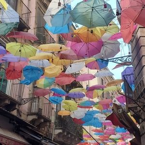 Meet your Posher, Daniela